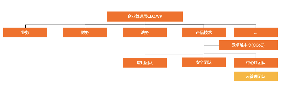 跨国组织结构案例