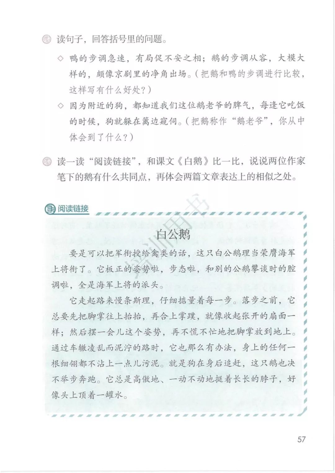 白公鹅阅读理解答案图片