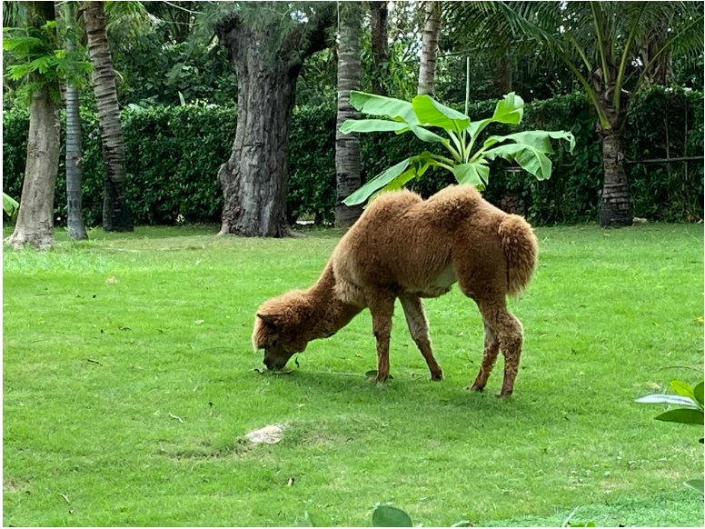 程序员是如何通过一张图片获取GPS信息的？简单得不敢相信