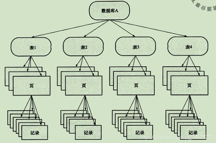 mysql数据库基础介绍