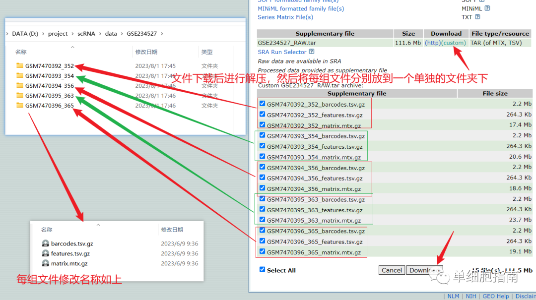 单细胞实战(1)数据下载-数据读取-seurat对象创建_seurat数据生成-CSDN博客