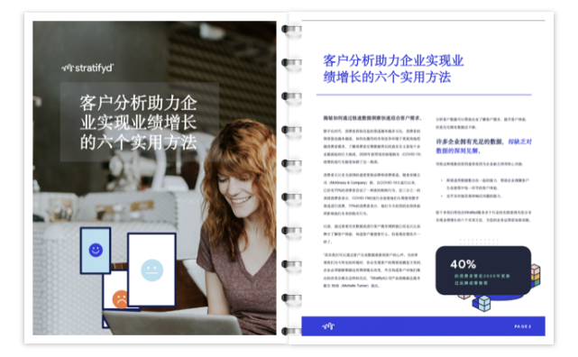 斯图飞腾Stratifyd白皮书：客户分析助力企业实现业绩增长的六个实用方法