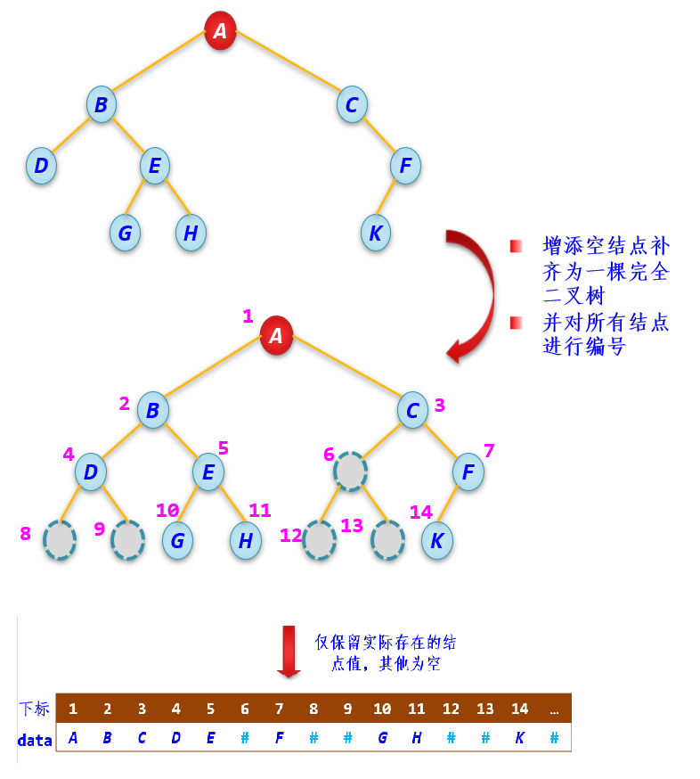 一般二叉树及其相应的顺序存储结构