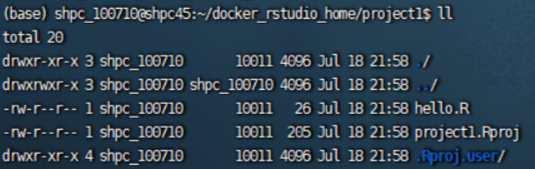 使用 Docker 部署 RStudio 的终极教程