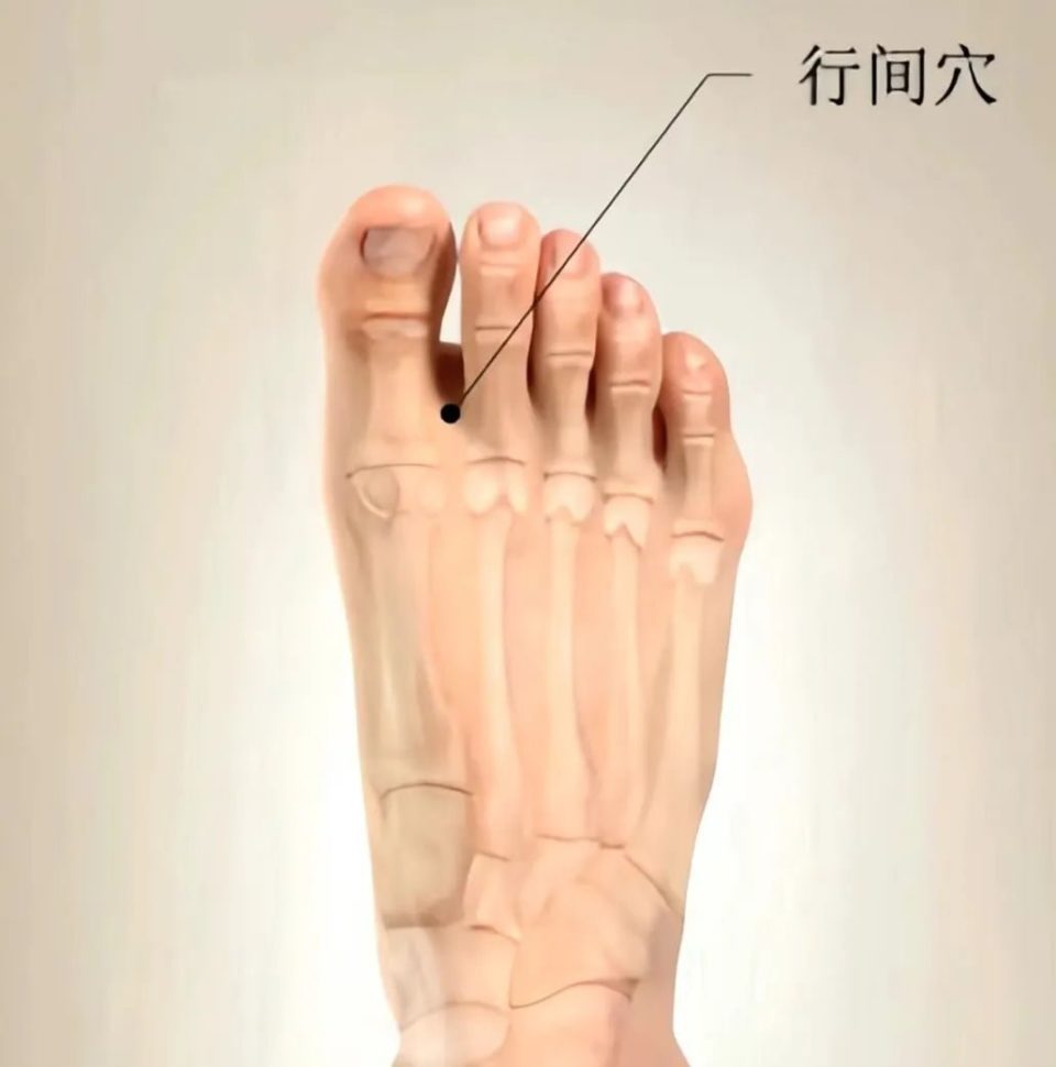 小心结节！抓紧养肝！春季养肝用1碗粥，2杯茶，3个穴位！-CSDN博客