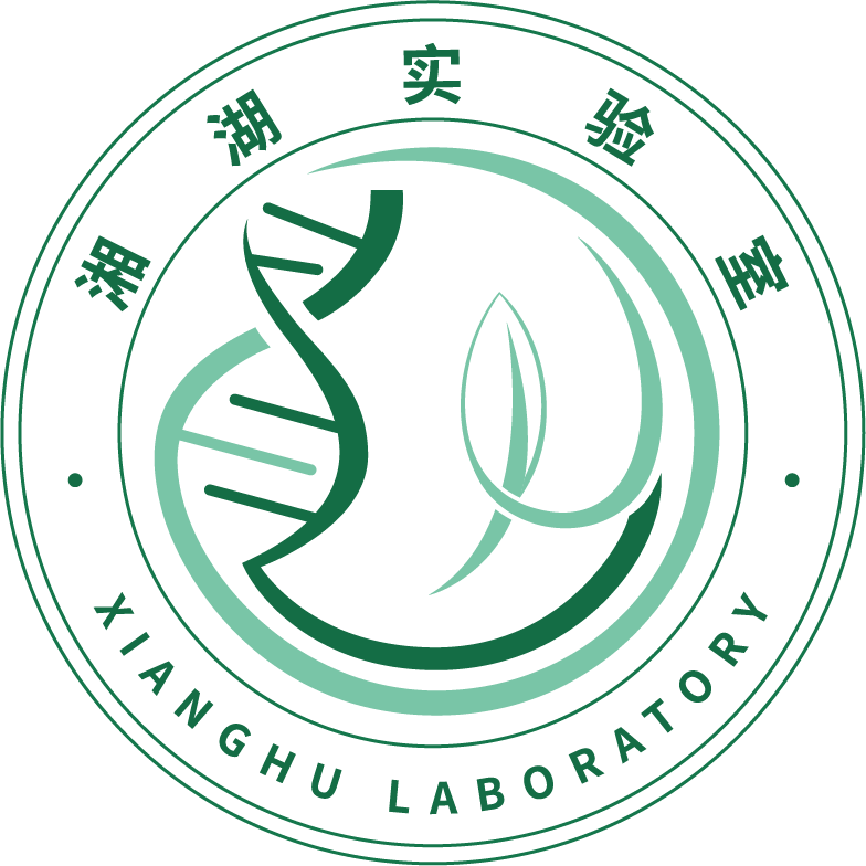 实验室logo设计样本图片