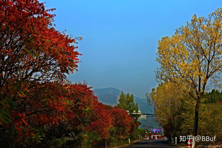 2423d5414f78eae2cd346775b5b6065c.png