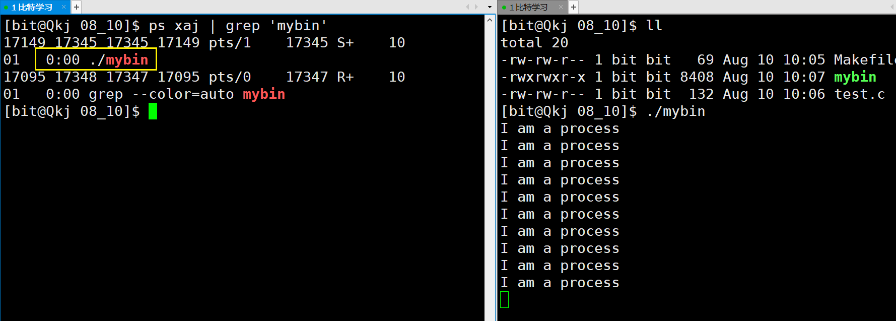 image-20220810101845148