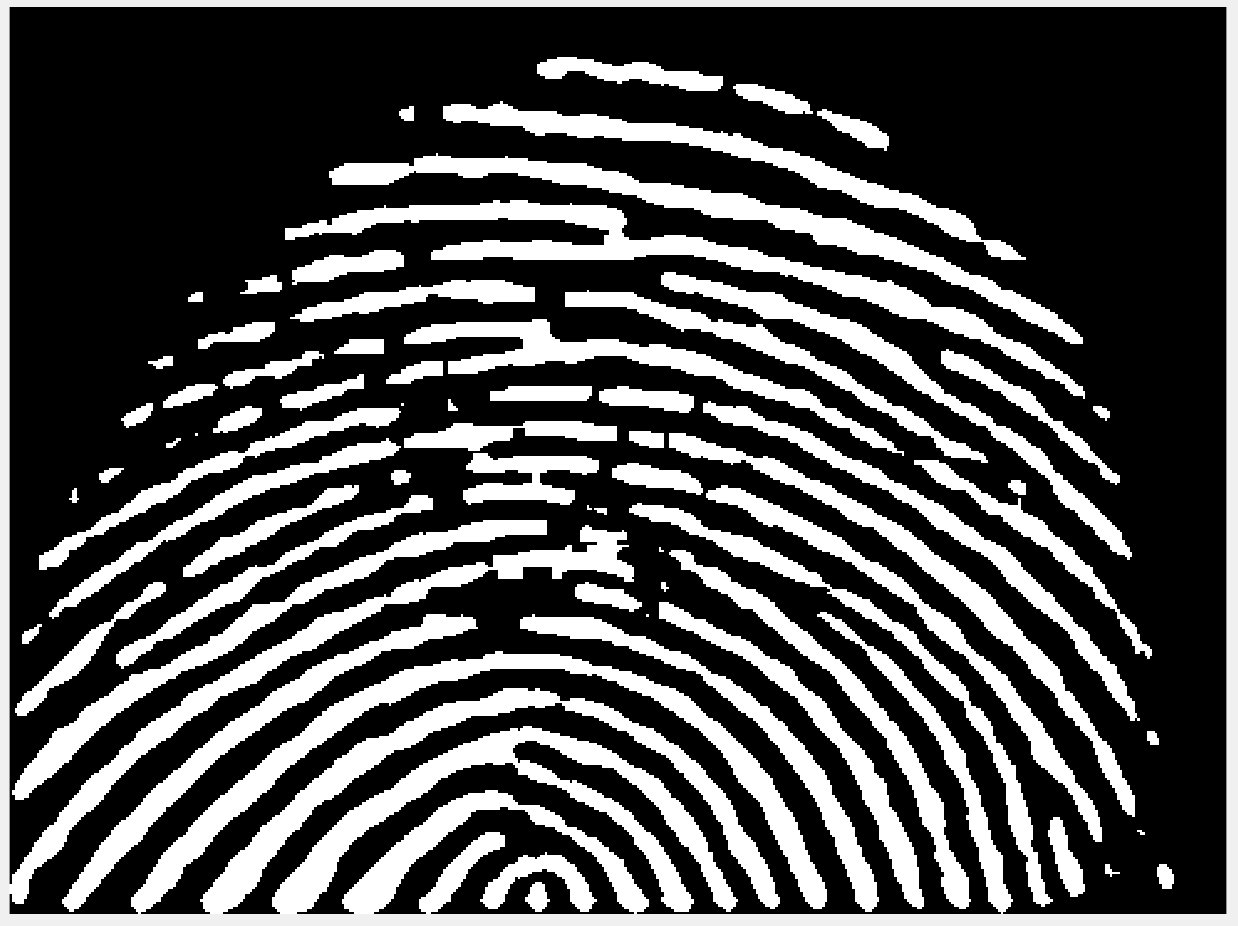 指纹图像去噪增强分为7个步骤:二值化,去噪,腐蚀,锐化,细化,膨胀,平滑