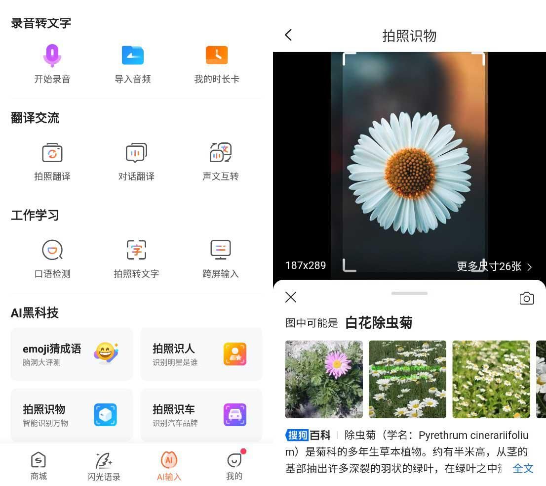 识别鲜花的App都有哪些？快把这些App收好