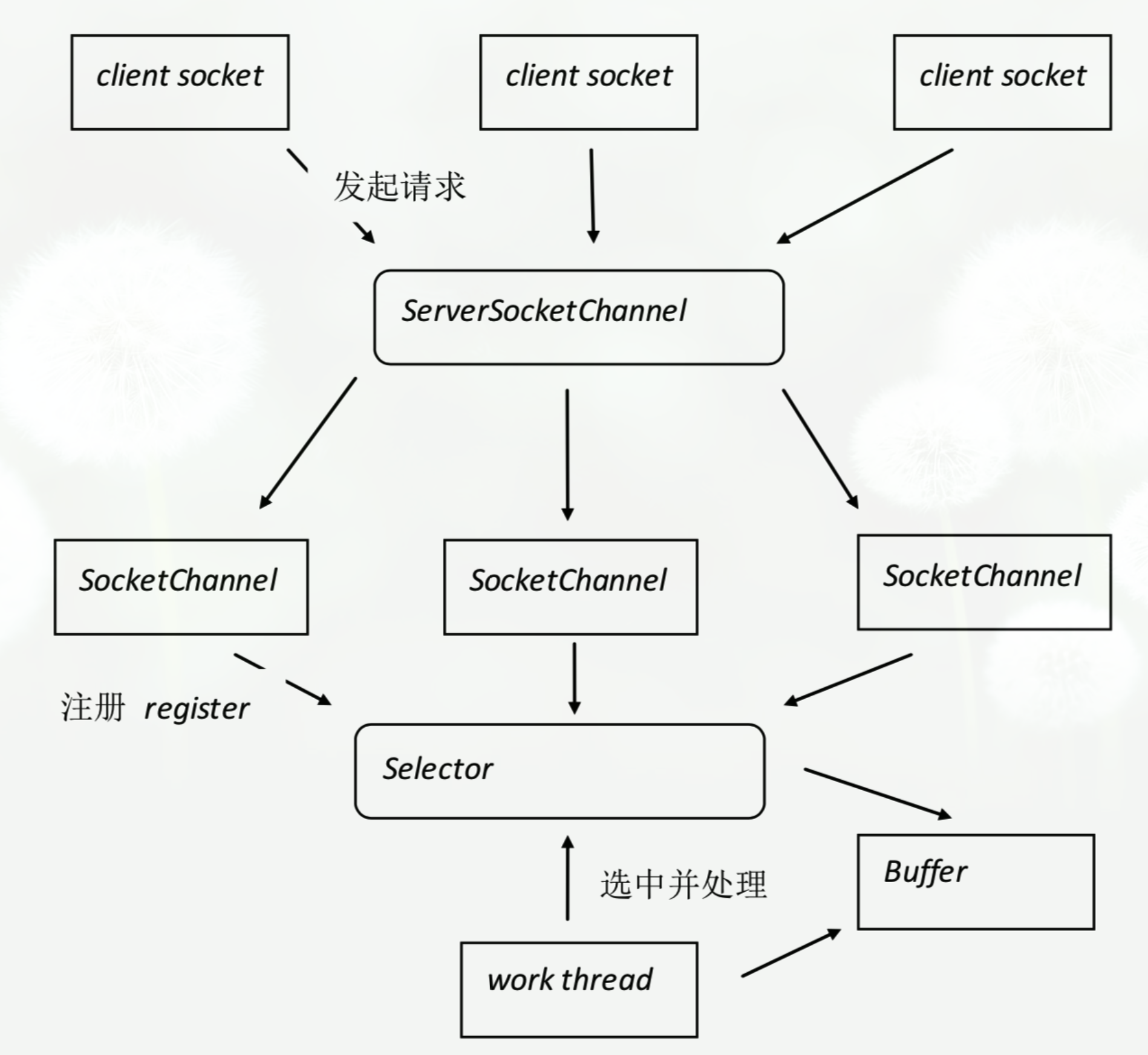 coding的固定搭配图片