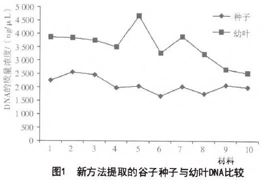 ctab提取dna流程图 谷子种子dna快速提取新方法 陈后主的博客 csdn博客