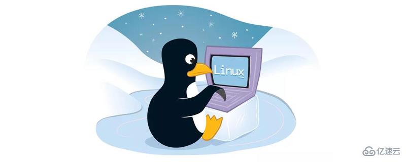linux 建站命令,关于linux基础命令的详解