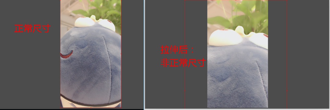 25adff0a9bce30d6e29c1f436ad9ce20.png