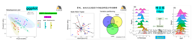 R语言生物群落（生态）数据统计分析与绘图