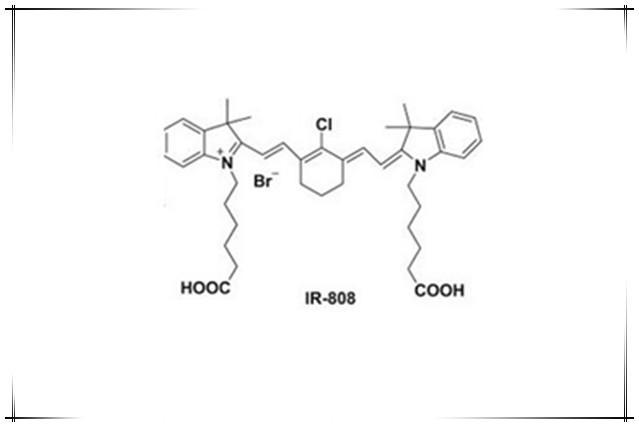 知识点梳理IR-808 Biotin，Biotin 808-IR，IR808 生物素，红外吸收染料修饰生物素