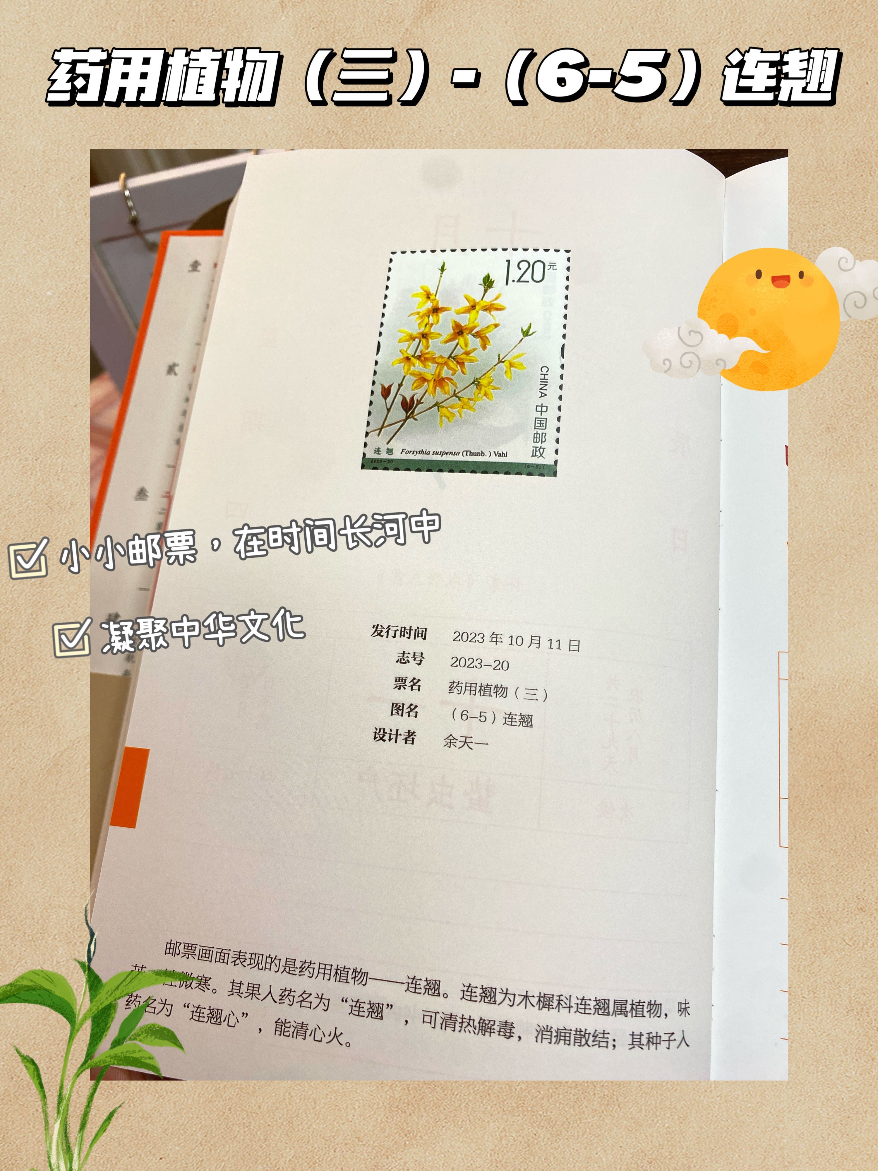 25d51a4317ae1ddda43410061f5ee284.jpeg