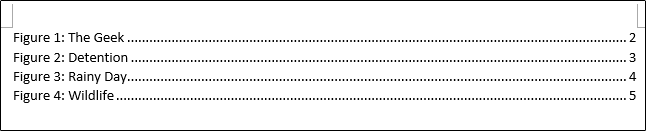 A Table of Figures in Word