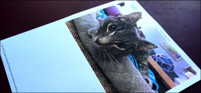 How to Print Photos in Windows 10