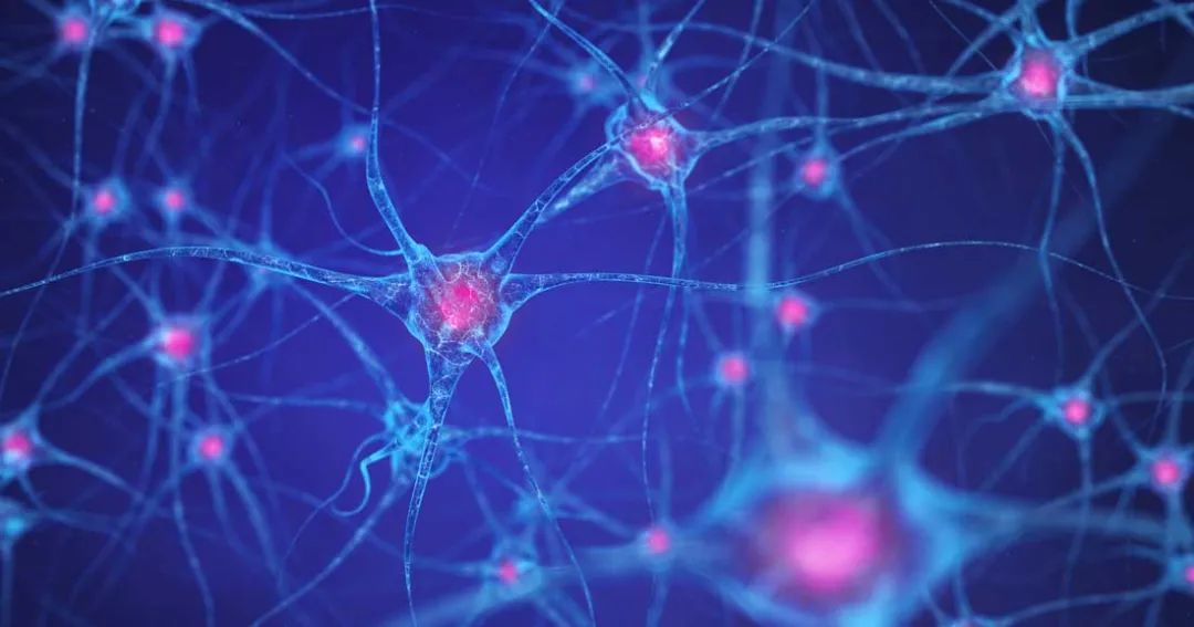 清华、北大、中科院六位专家同台论道：生物智能的本质与下一代类脑AI