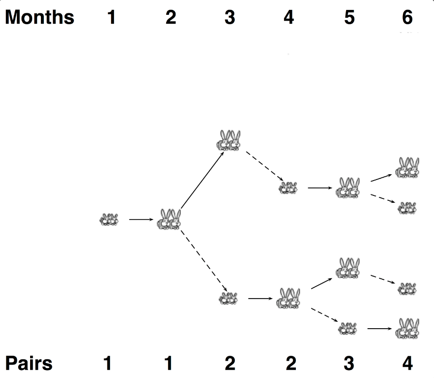 A figure illustrating the propagation of Fibonacci's rabbits if they die after three months.