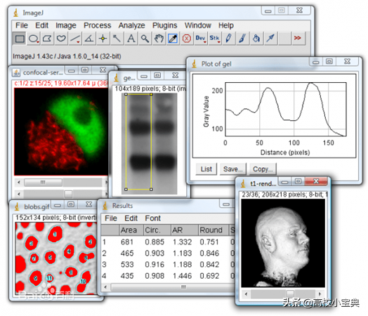 Efficient scientific research: 10 essential artifacts for scientific research, increasing your efficiency by 80%