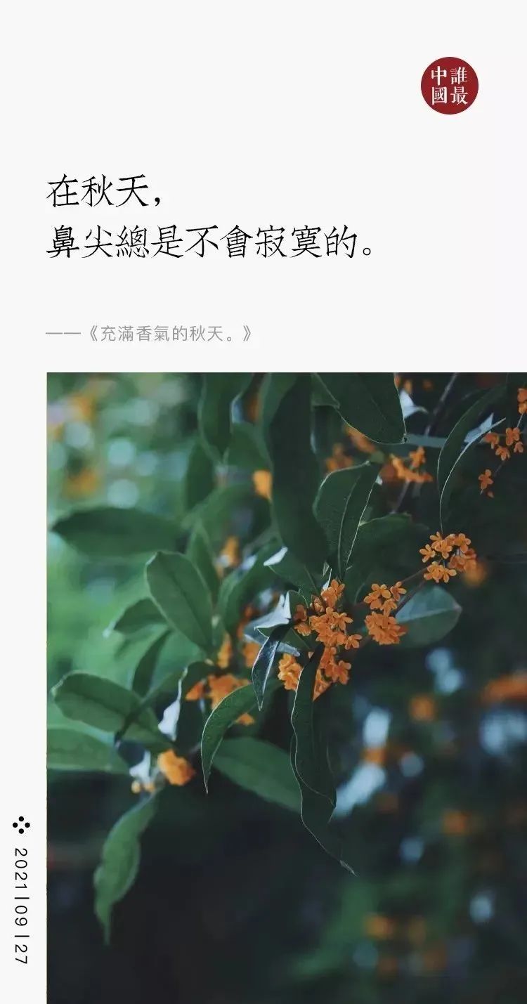 秋天来了