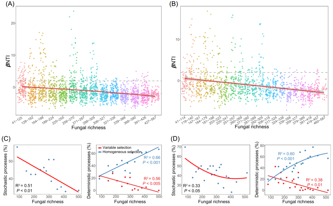 Mat团队文字组审核 Csdn