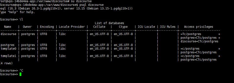 Discourse 如何通过终端工具访问 PGSQL