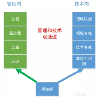 I graduated from a college, joined Suning in 2 years, and moved to Ali in 5 years. How did I get promoted quickly?