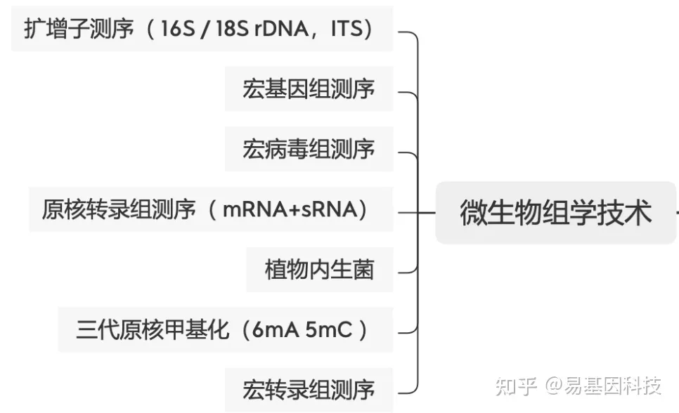 易基因： Nature Biotech：番茄细菌性青枯病的噬菌体联合治疗｜国人佳作