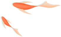 27ee51fef5424764ba25a3865ac8ed2e.png