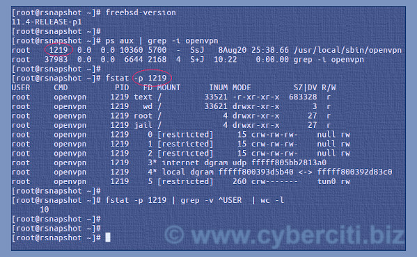 FreeBSD show open files per process command