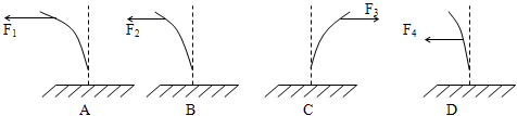 281bb451b5c48a1eb353e7b6402059a5.png