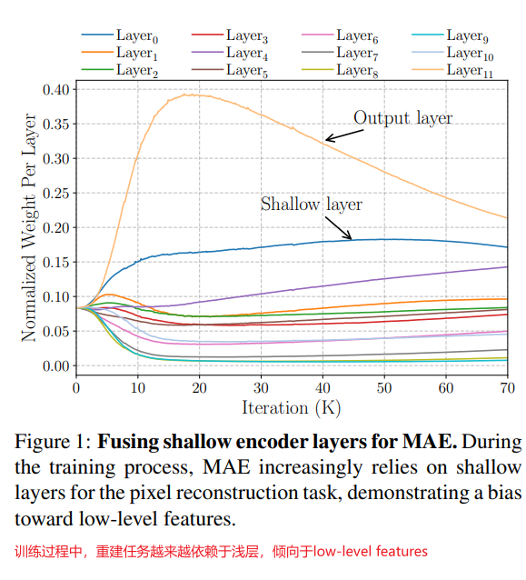 MAE融合浅层编码层。在训练过程中，MAE会越来越依赖于浅层进行重建任务，表明pixel-based MIM方法对于低级细节特征的偏置