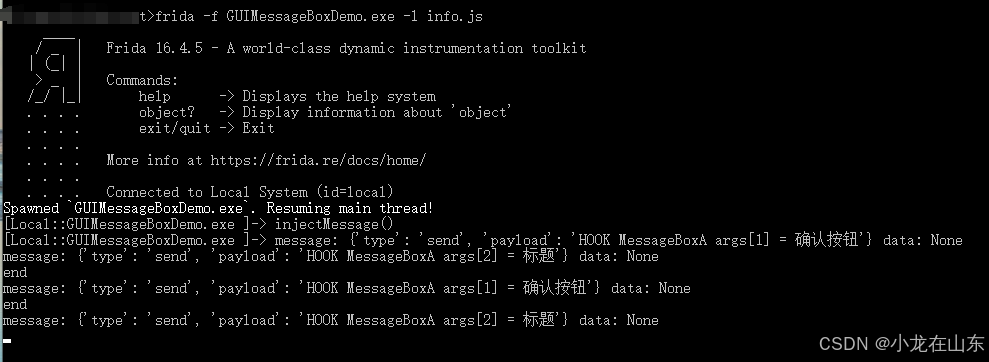 Frida查看运行环境、进程、线程、模块、内存、拦截器、汇编代码_JSON_07