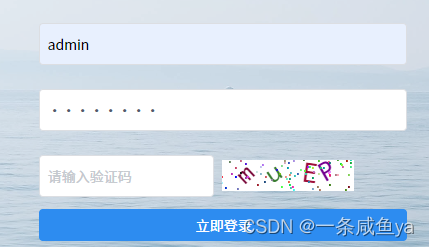 vue实现前端登录验证码