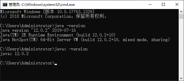 图片[6]-踩了很多坑！一文教你配置 Tomcat 9.0.19 + Java 12.0.2，并启用 SSL——以 Windows Server 2019 平台为例-地理信息云