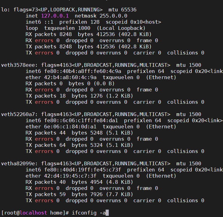 长安杯2019docker网络ifconfig