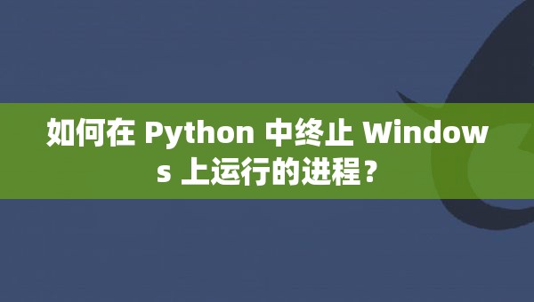 如何在 Python 中终止 Windows 上运行的进程？