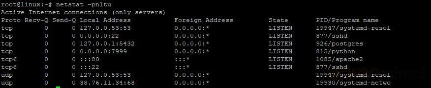 Netstat 命令