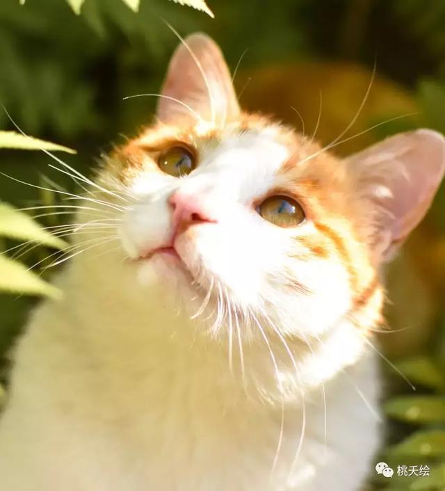 2961986beb8756a5f7912266da33cf0a.png