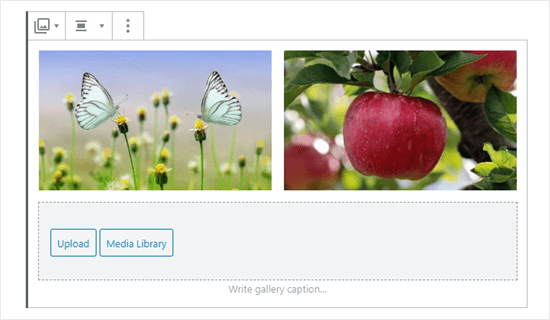 Two images in the gallery (butterflies and apple) Two images in the gallery (butterflies and apple)