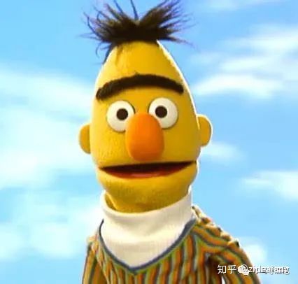 bert中的sep语言模型bert