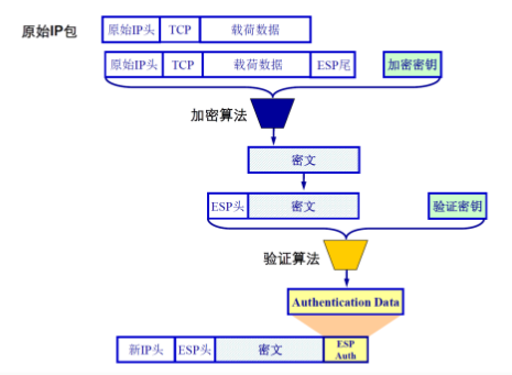 image-20230925164643813