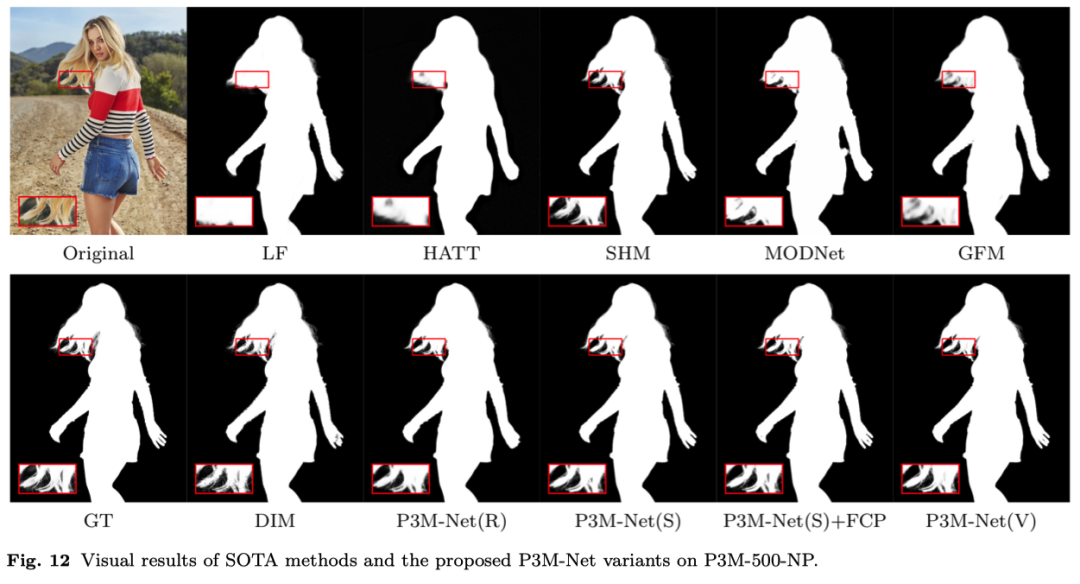 目前最大的人像抠图数据集P3M-10k开源了！助力隐私保护的人像抠图研究-CSDN博客