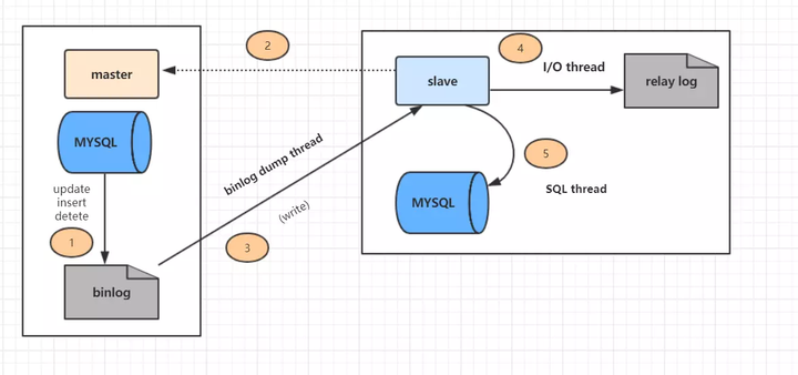 Mysql数据库总结