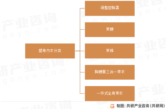 塑身内衣分类