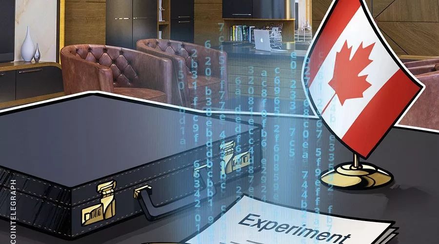 加拿大国家资助研究项目irap已自主研发区块链浏览器