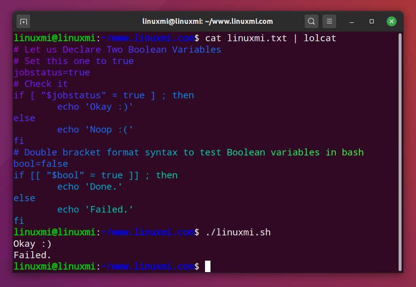 Linux教程 - 在Shell脚本中声明和使用布尔变量示例